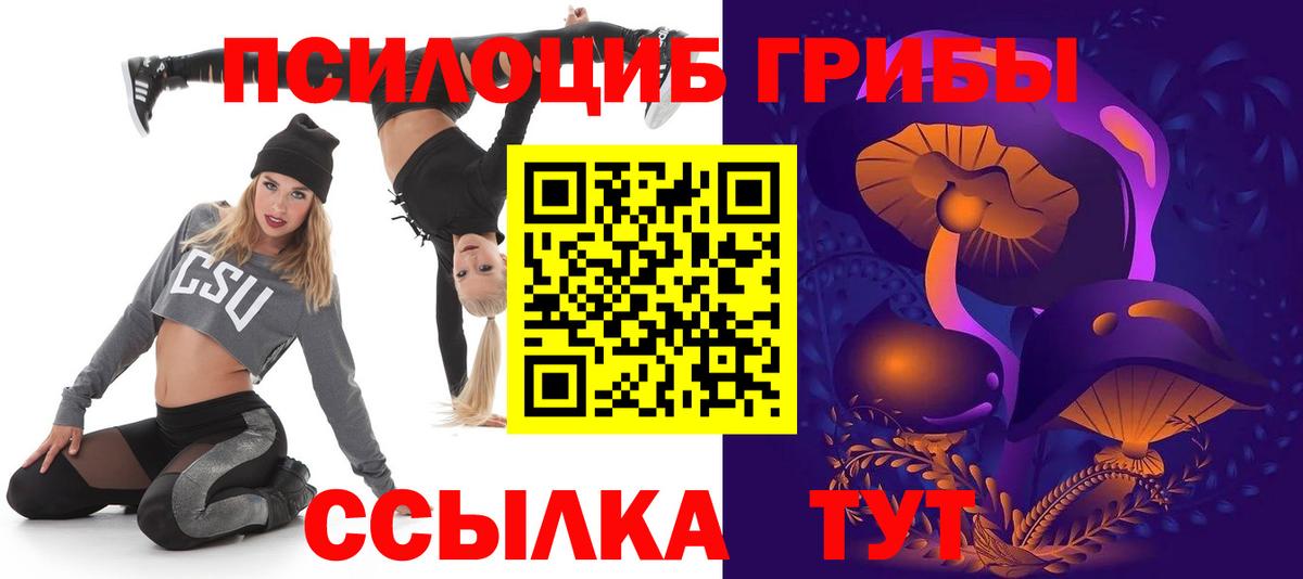 наркотики  Вход с VPN  Елизово  Псилоцибиновые грибы MAGIC MUSHROOMS  Псилоцибиновые грибы Psilocybine cubensis 