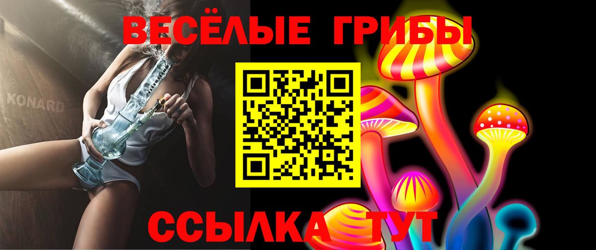 Галлюциногенные грибы Psilocybe Елизово